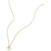 Fossil Women’s Gold-Tone Stainless Steel Pendant Chain Necklace for Women(Gold Sadie Pendant)